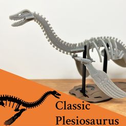 plesio_classic-pic1.jpg Fichier STL gratuit [3Dino Puzzle] Plesiosaurus de style classique・Objet imprimable en 3D à télécharger