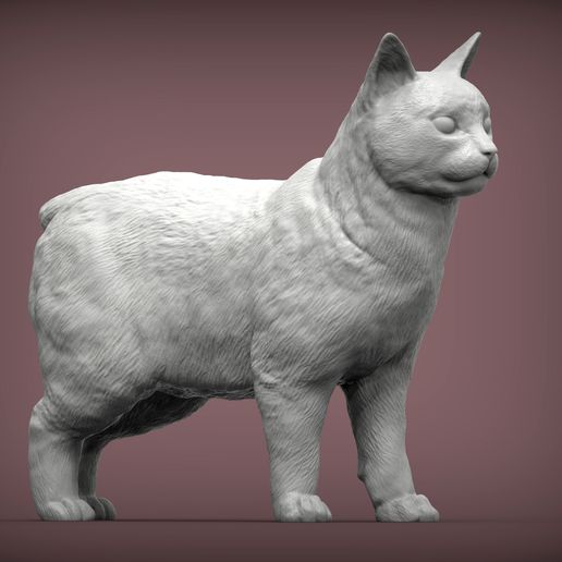 置物 LITTLE CHOP DESIGN Knuckle MANX CAT 🐱 Manx cat 3D print model・ 3D File for ・Cults