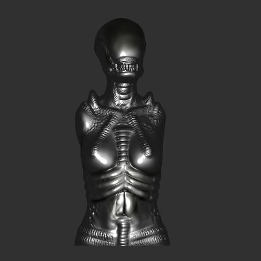 ZBrush-Document.jpg Giger Weibliche Büste