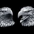 1-9.jpg Eagle Head