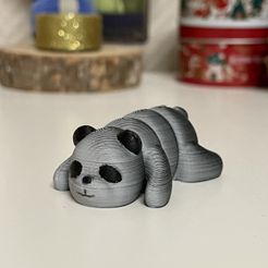 Baby Panda - Print in Place