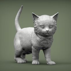 kitty1.jpg kitty 3D print model