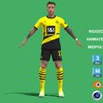 q1.jpg 3D Rigged Marcos Reus Borussia Dortmund 2024