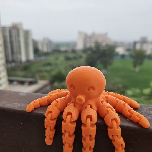 Cute Mini Octopus