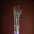 _MG_4223.jpg Terminator Animatronic T800 Arm
