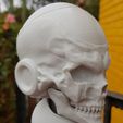 20210724_122933.jpg Skull Frieza - Freezer Skull