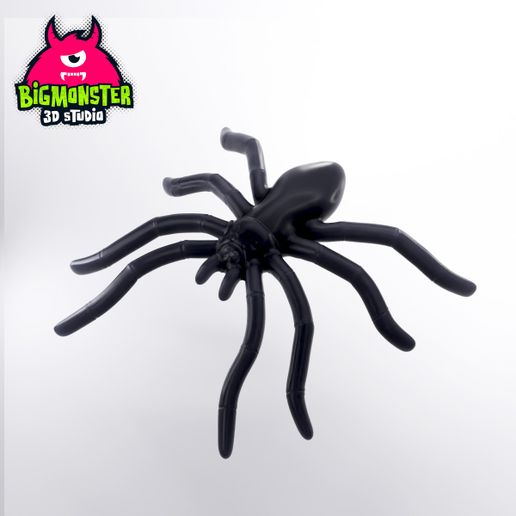 Earing_Spider_B.jpg Boucles d'oreilles araignée magnétique