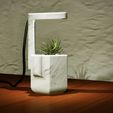 1C64DE0F-7359-41EF-8B6F-2FCCD49FC20A.jpeg Smart Self-Watering Pentagon Planter