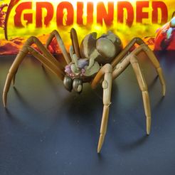 IMG_20240421_124547081_HDR.jpg Infected Wolf Spider - Grounded