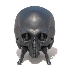 54545.jpg Giger Skull Concept