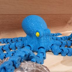 Octopus 2.0