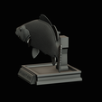 peacock-bass-trophy-1-1-24.png Peacock bass (Cichla ocellaris) fish in motion trophy statue for 3d printing