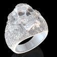 4.jpg Skull ring jewelry skeleton ring 3D print model