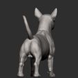 bull-terrier10.jpg bull terrier 3D print model