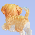 Goldendoodle-puppy2.png Adorable Fluffy Goldendoodle Puppy 3D Model - STL, 3MF, OBJ + Textures
