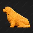 1322-Bearded_Collie_Pose_04.jpg Bearded Collie Dog 3D Print Model Pose 04