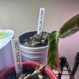 GrowBetter-NotDeadYet-Plants.jpg Even More Honest Plant Labels
