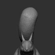 squirrel8.jpg Squirrel 3D print model