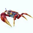 B.jpg Crab, - DOWNLOAD Crab 3d Model - PACK animated for Blender-Fbx-Unity-Maya-Unreal-C4d-3ds Max - 3D Printing Crab Crab