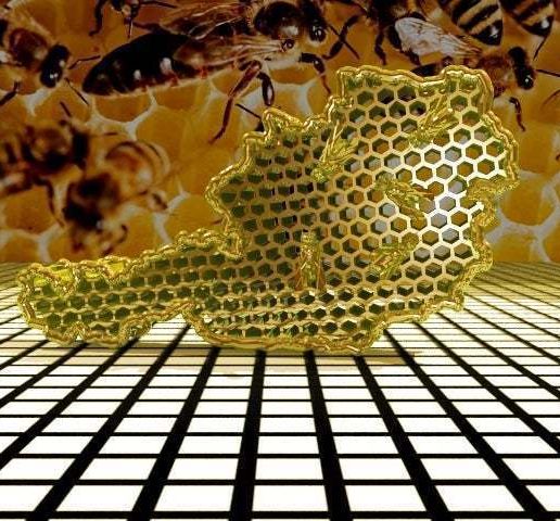 beehave.jpg пчелиный улей 3