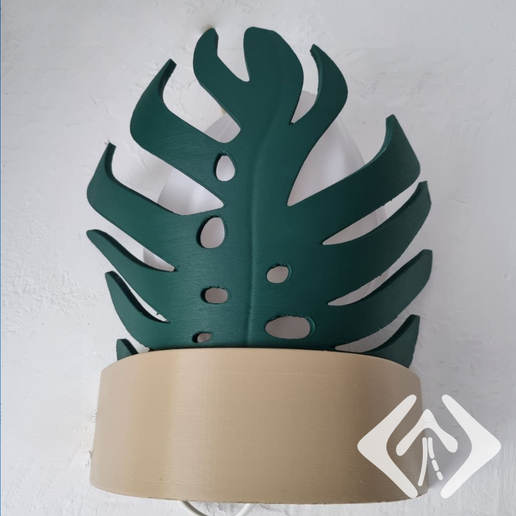 philodendron pink princess giftig Philodendron Pink Princess – Foliage Dreams main image 0