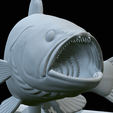 White-grouper-open-mouth-1-54.png fish white grouper / Epinephelus aeneus trophy statue detailed texture for 3d printing