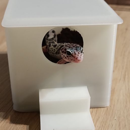 IMG_20251006_182125.jpg Feuchtes Versteck für Geckos