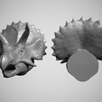 Triceratops-5.png Triceratops Head