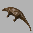 pangolin_v1_2023-Jul-23_05-09-23AM-000_CustomizedView13879912002.png Муравьиная птица панголин