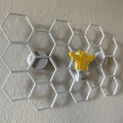 IMG_1017.jpg Beehive Wall Organizer