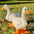 Porch-Goose-FunFam3D-13.jpeg Oca da portico