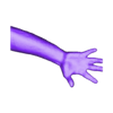 Model.obj hand and forearm scanning