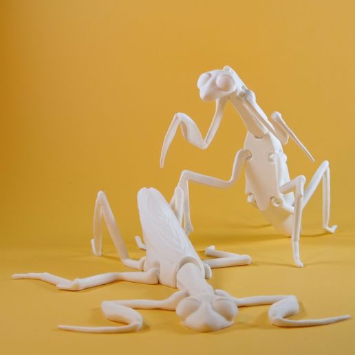STL file Flexi Print-in-plate Mantis 👾 ・Model to download and 3D print ...