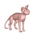 model-8.png Sphynx cat low poly