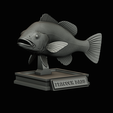 peacock-bass-trophy-1-1-18.png Peacock bass (Cichla ocellaris) fish in motion trophy statue for 3d printing