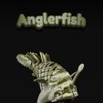 FEED-2023-07-05T132221.102.jpg Angler Fish
