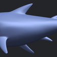 17_TDA0486_SharkB02.png Shark