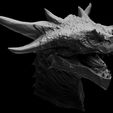 02.jpg Varanur Dragon Head - 3D Printing Files