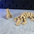 IMG_4082.jpg Articulated Skeleton Crocodile