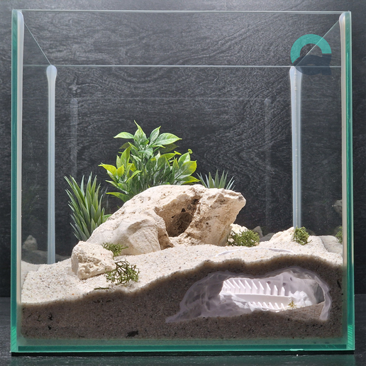 Colosseum-underwater-3d-printed-cave-full-view-by-Aquireef3D.png Fish and Reptile Grotto, Colosseum Aquarium & Terrarium Cave, Fish Tank Shelter, Critter Hide, Aquascaping Tool