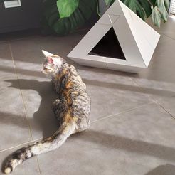 niche 3 OK.jpg Файл STL Домашняя кошка Пирамида low poly・3D модель для печати скачать, Catalpine