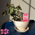 PLANT-TOMBSTONE-ACCESSORIES-by-qbed_0008.jpg 💀 MEGA PACCHETTO DI LAPIDI VEGETALI