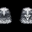 1-3.jpg Eagle Head