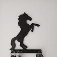 ch-1.jpeg horse key holder