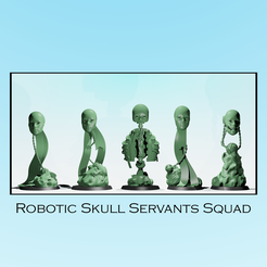 Skull_Cover_resize.png Robotic Servant Skull Squad