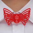 DSC_4954_2.jpg Butterfly Bow Tie