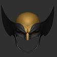 1.jpg Wolverine Helmet