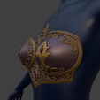 Screenshot-2025-08-20-133142.png Hylian Bra Armor