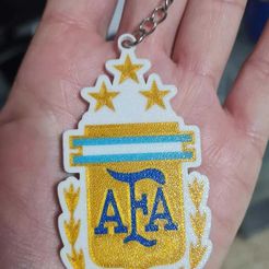 407336827_10161563953073023_1806253330074256558_n.jpg llavero afa