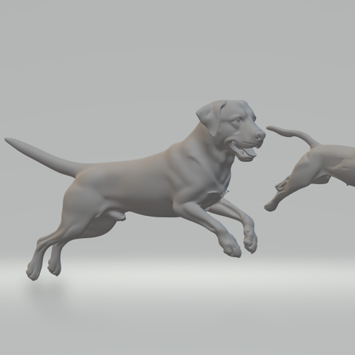 dog pack - 3D model önizlemesi